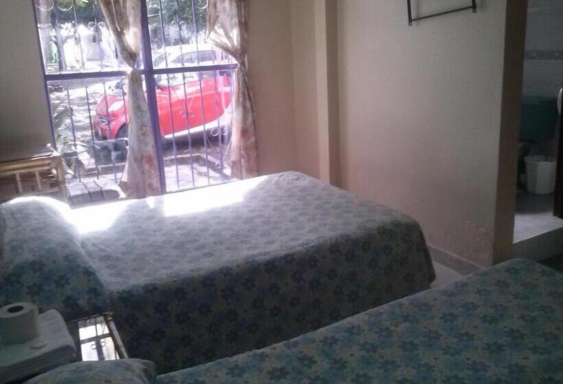 فندق Angela Carolina