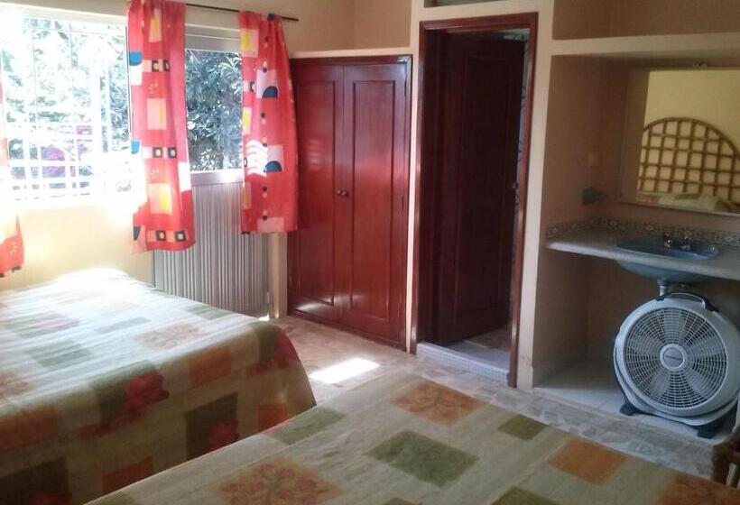 فندق Angela Carolina