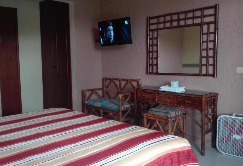 فندق Angela Carolina