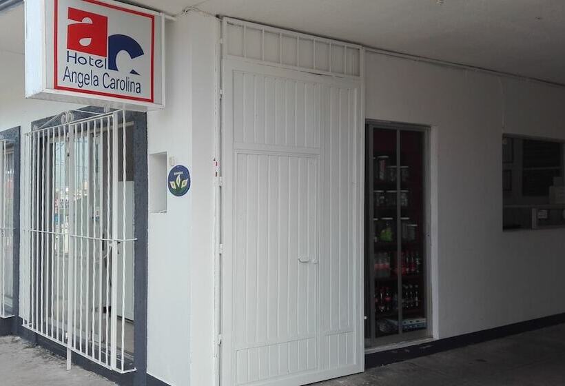فندق Angela Carolina