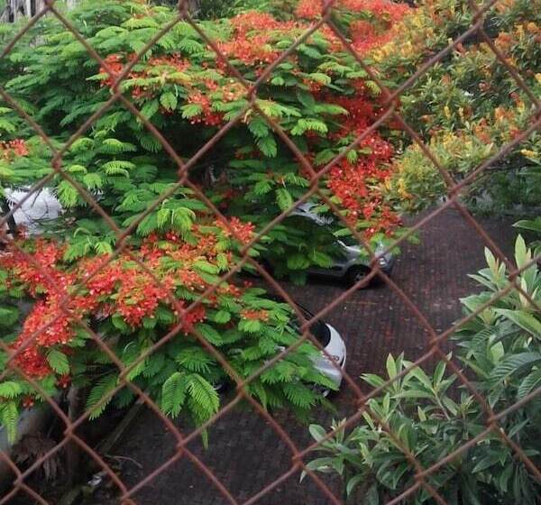 فندق Angela Carolina