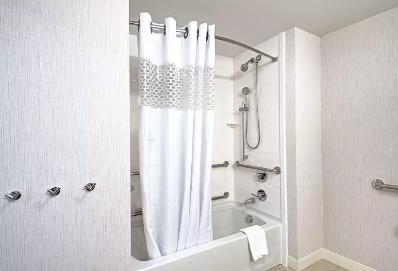 ホテル Hampton Inn Boston  Westborough