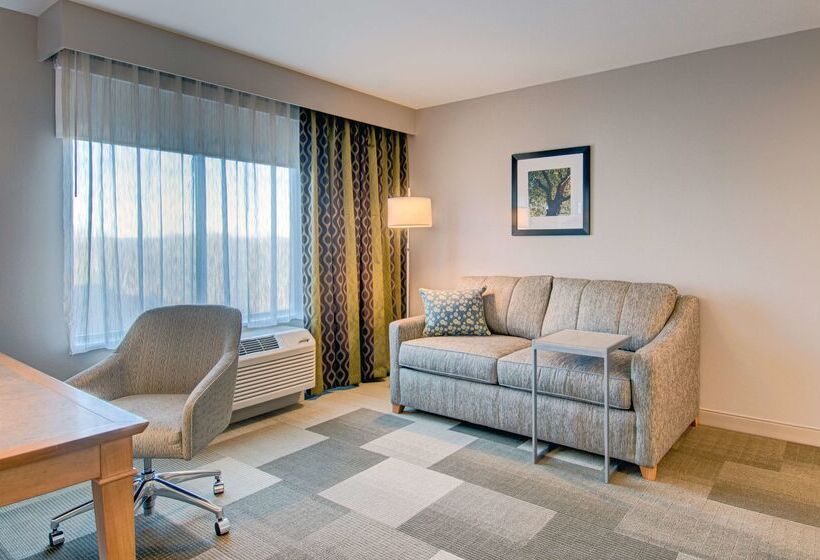 בית מלון כפרי Hampton Inn Boston  Westborough