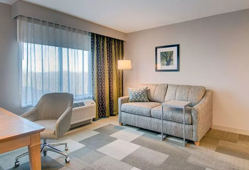 ホテル Hampton Inn Boston  Westborough