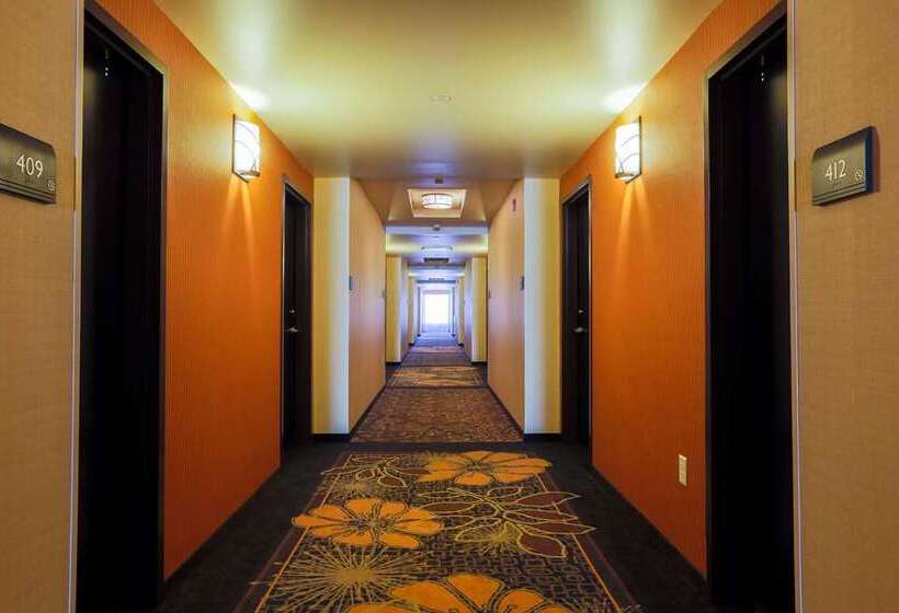 ホテル Hilton Garden Inn Indiana At Iup