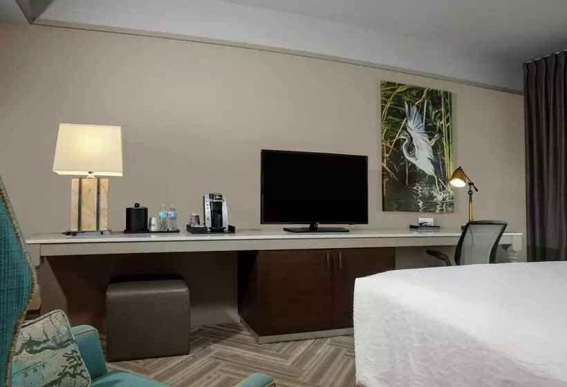 Hilton Garden Inn Mobile Downtown