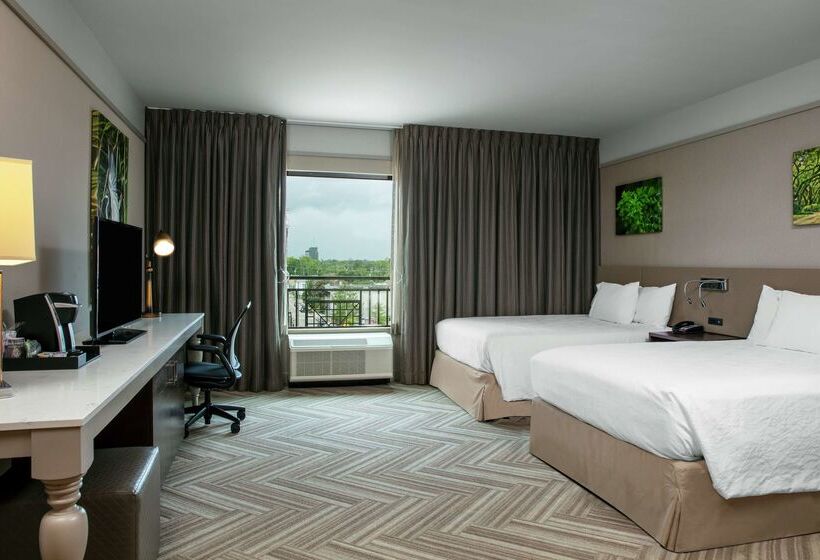 בית מלון כפרי Hilton Garden Inn Mobile Downtown