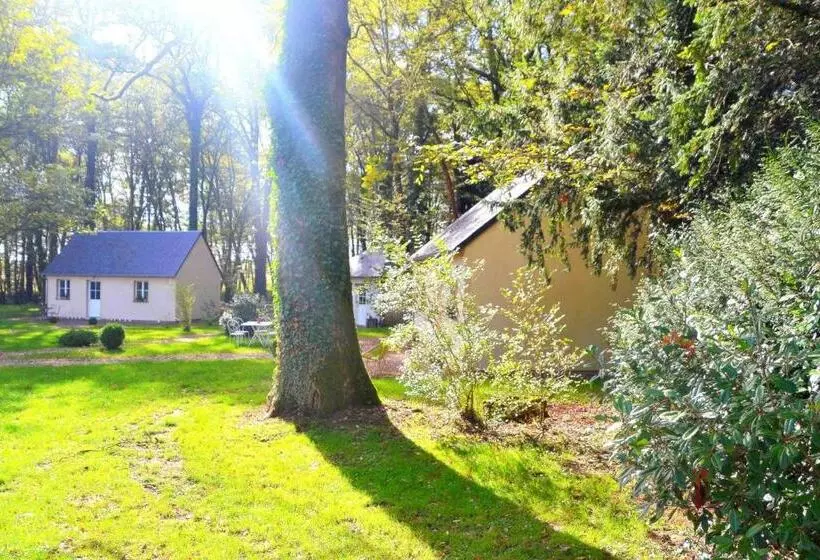ホテル Hôtel Les Grands Chênes