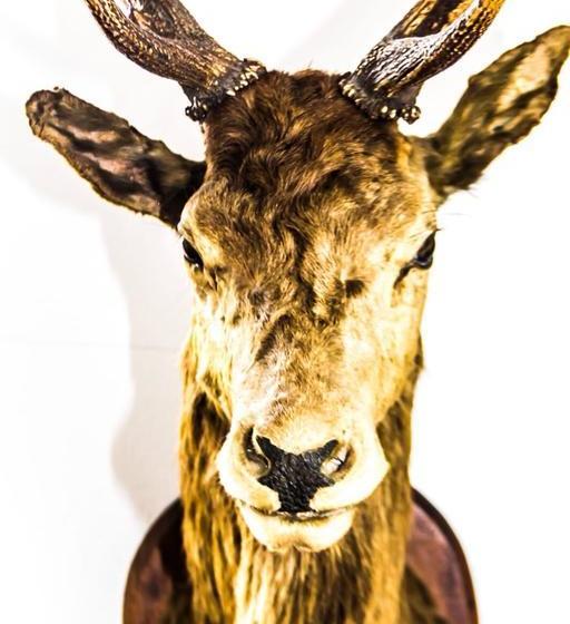 בית מלון כפרי Restaurant Engelanderhof