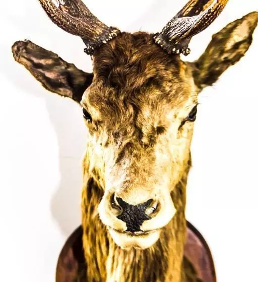 هتل Restaurant Engelanderhof