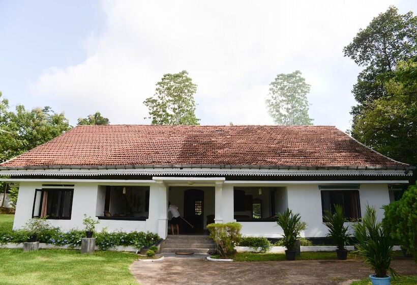 بنسيون Maggie Garden Hostel