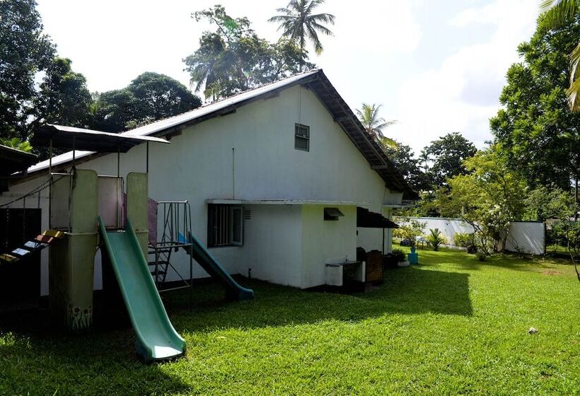 بنسيون Maggie Garden Hostel