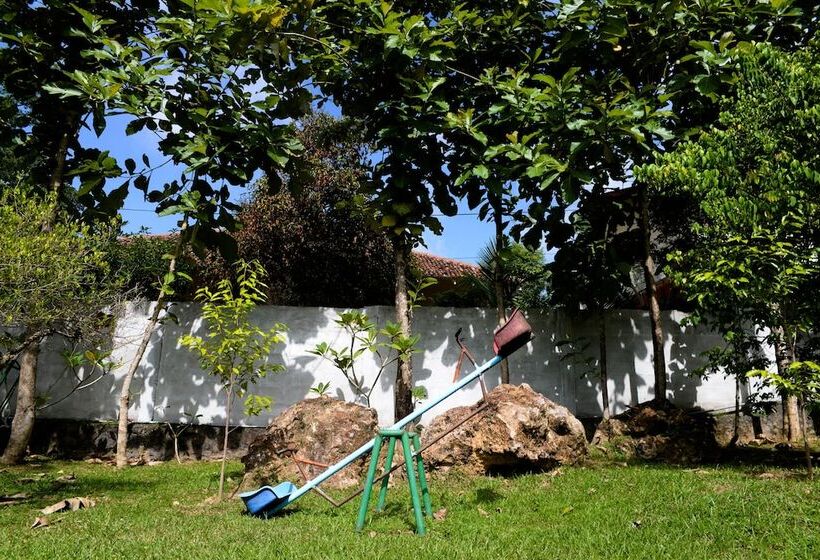 بنسيون Maggie Garden Hostel