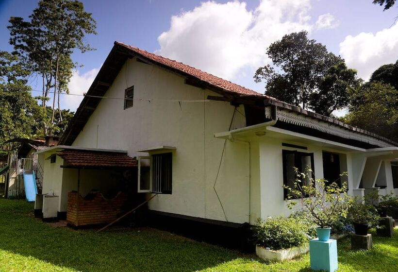 بنسيون Maggie Garden Hostel