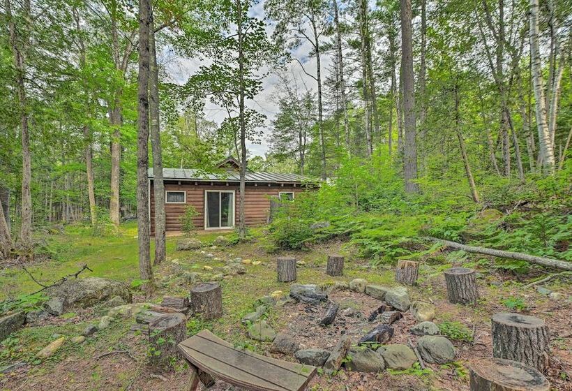 Petfriendly Cabin In The Forks W/ Fire Pit!