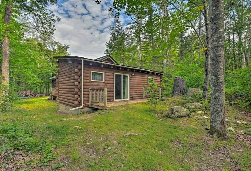 Petfriendly Cabin In The Forks W/ Fire Pit!