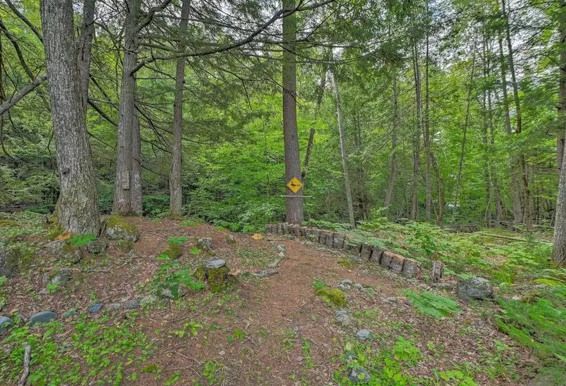 Petfriendly Cabin In The Forks W/ Fire Pit!
