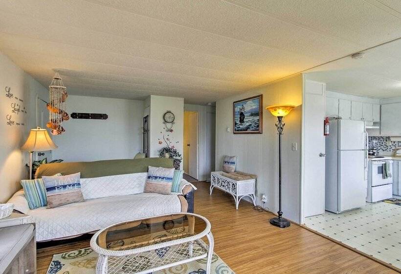 The Little Orca S Short Walk To The Beach!