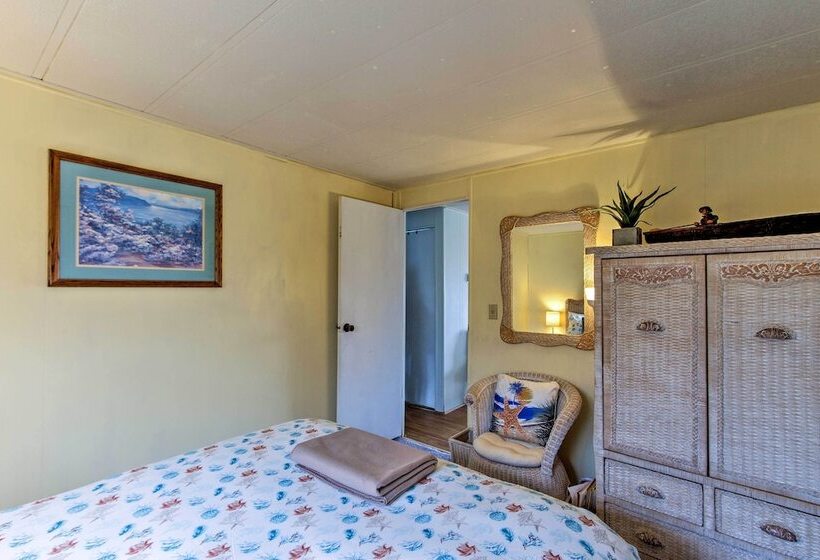 The Little Orca S Short Walk To The Beach!