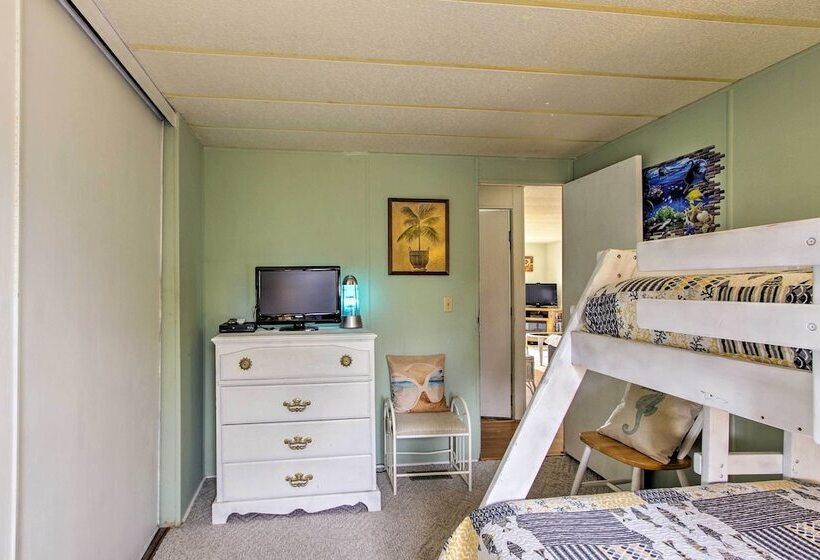 The Little Orca S Short Walk To The Beach!