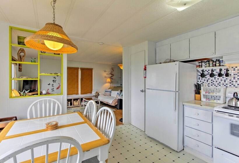 The Little Orca S Short Walk To The Beach!