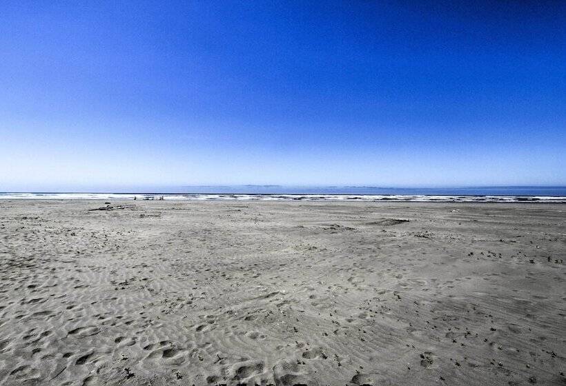 The Little Orca S Short Walk To The Beach!