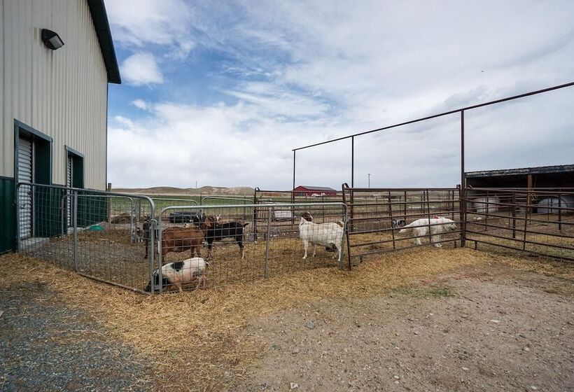 Pet Friendly Lingle Ranch W/ Deck On 60 Acres!