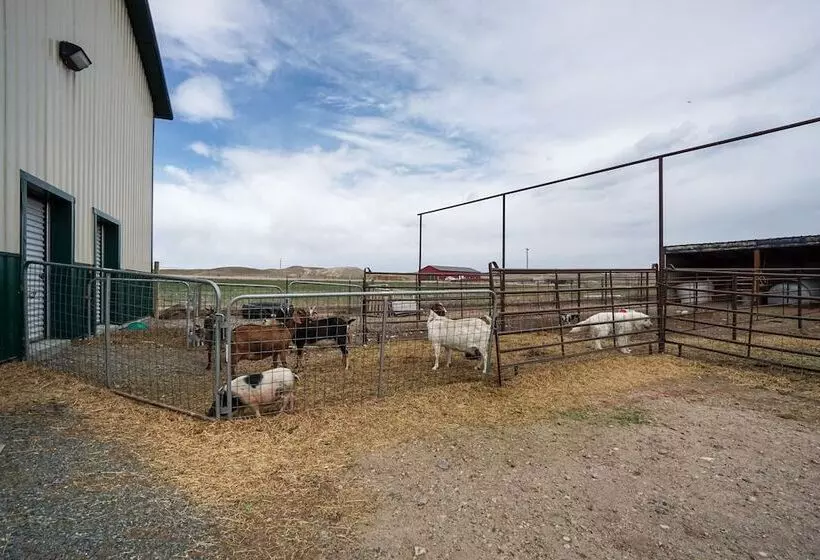 Pet Friendly Lingle Ranch W/ Deck On 60 Acres!
