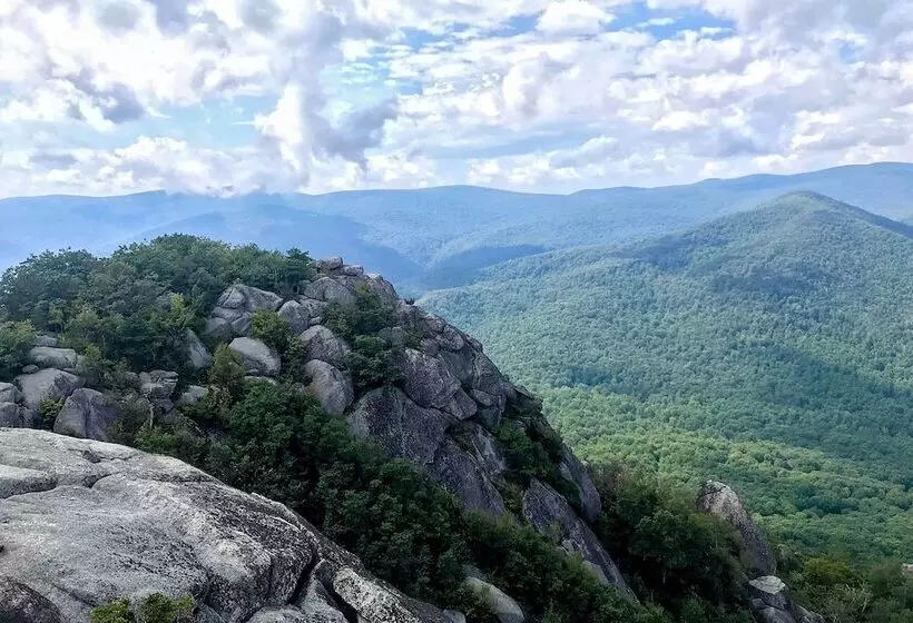 Secluded Stanardsville Cabin W/ 10 Acres & Hot Tub