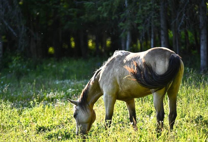 Spacious & Private Home W/ Lazy Mountain View