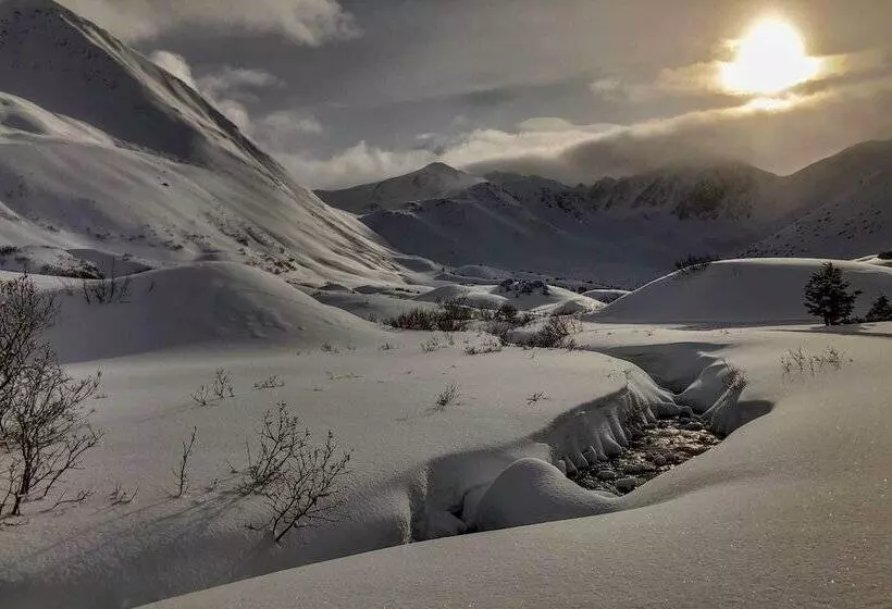 Family Cabin: Explore Alaska S Favorite Playground