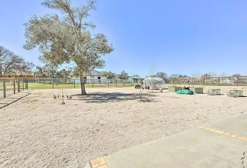 Newly Updated, Dog Friendly Peakview House!