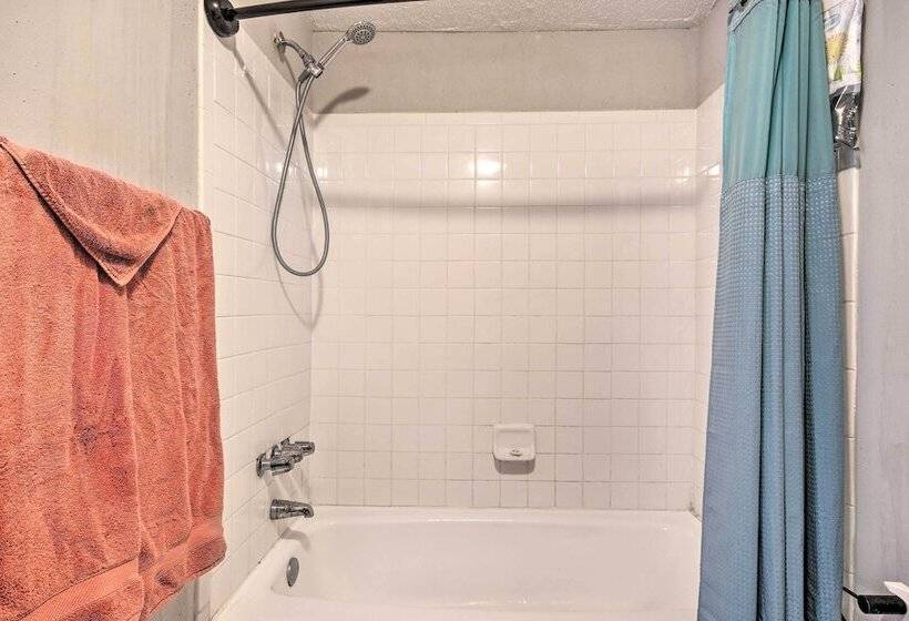 Waterfront Chapin Home W/ Private Dock!