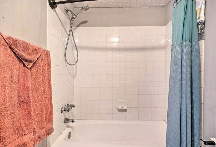 Waterfront Chapin Home W/ Private Dock!