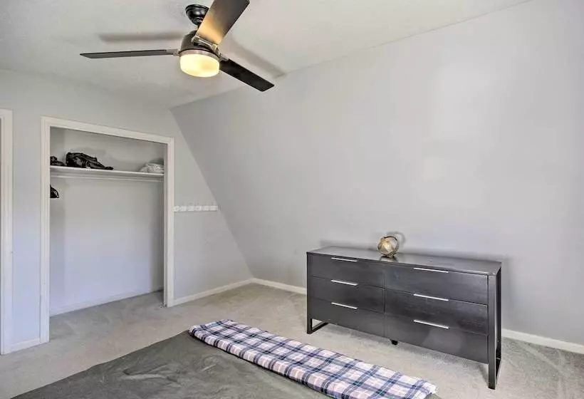 Waterfront Chapin Home W/ Private Dock!