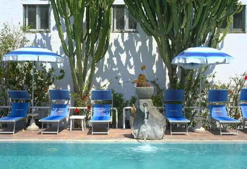 Room In B&b   Ischia With Breathtaking Views, Near Poseidon For Singles