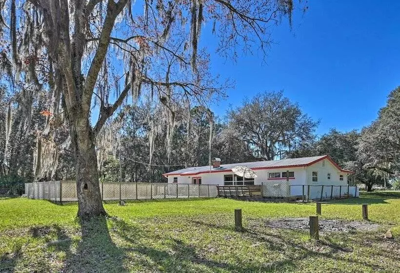 Central Florida Escape On 5 Acres W/ Grill & Pool!
