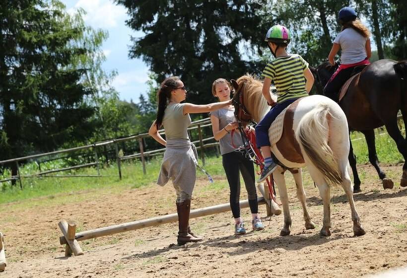 Maaseutuhotelli Agroturystyka Kurnik Polski