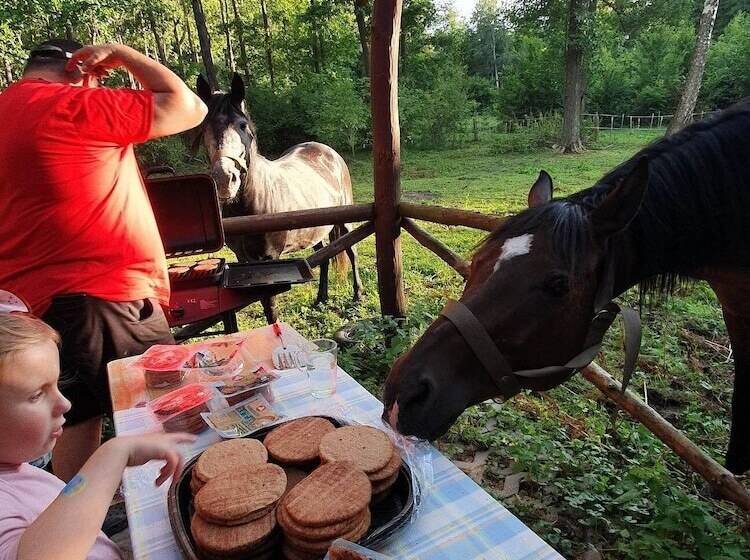 Maaseutuhotelli Agroturystyka Kurnik Polski