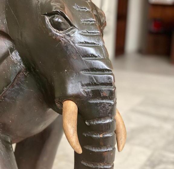 هتل Veronica Guest House