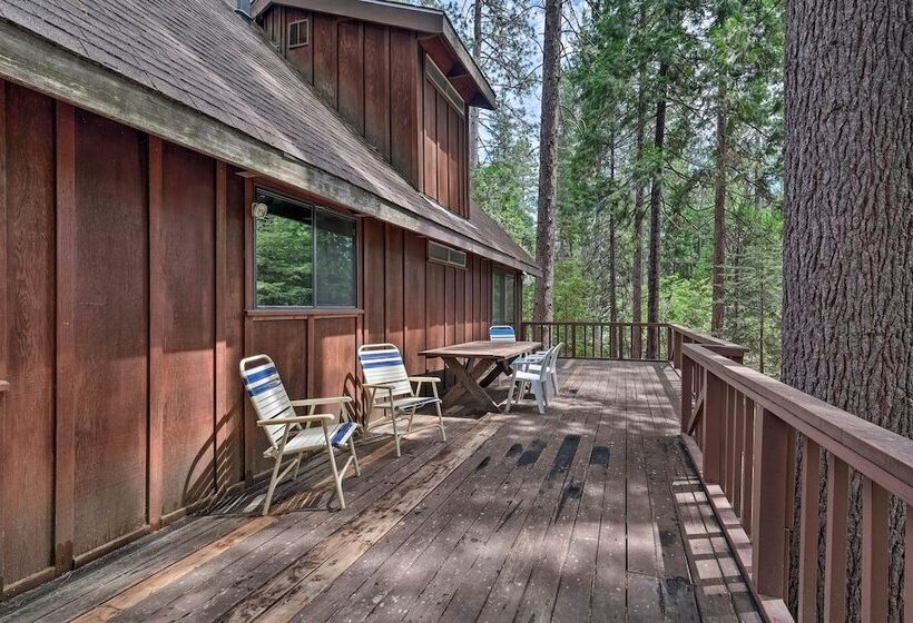 Cabin W/ Bbq Deck, Near Big Trees State Park!
