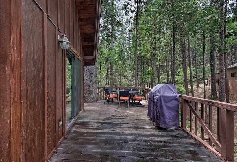 Cabin W/ Bbq Deck, Near Big Trees State Park!