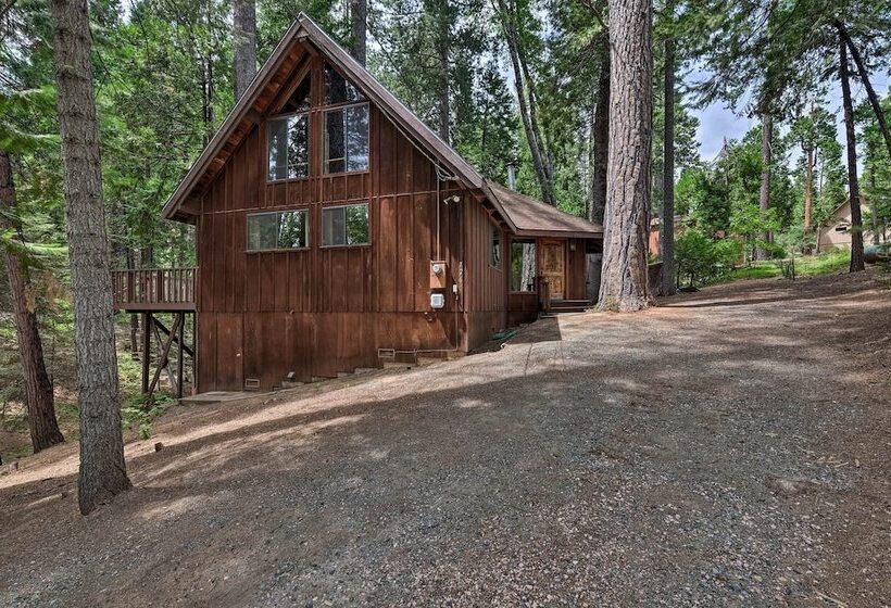 Cabin W/ Bbq Deck, Near Big Trees State Park!