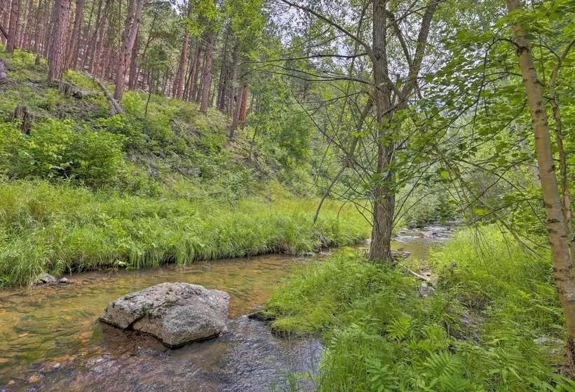 Historic Keystone Cabin Near Mount Rushmore!