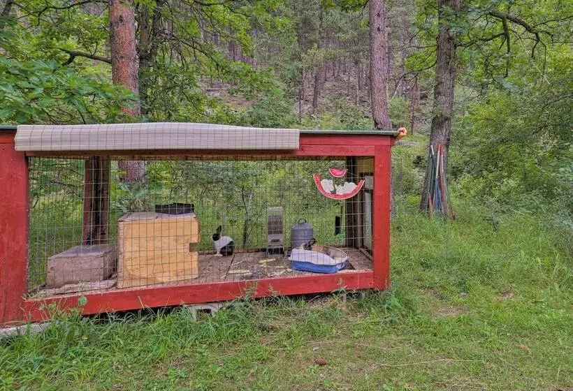 Historic Keystone Cabin Near Mount Rushmore!