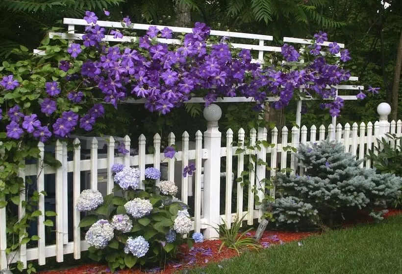 Cherry Valley Manor Luxury Bed And Breakfast