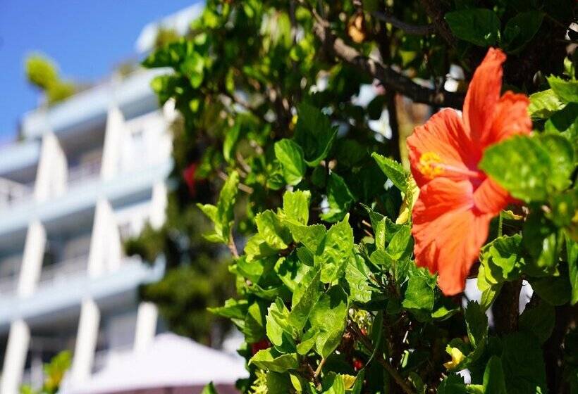 Coral La Quinta Park Suites
