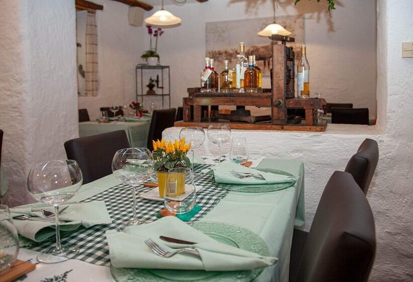 酒店 Gasthaus Alpina Salouf