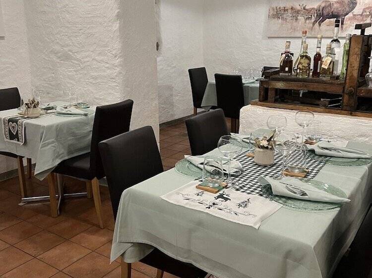 酒店 Gasthaus Alpina Salouf