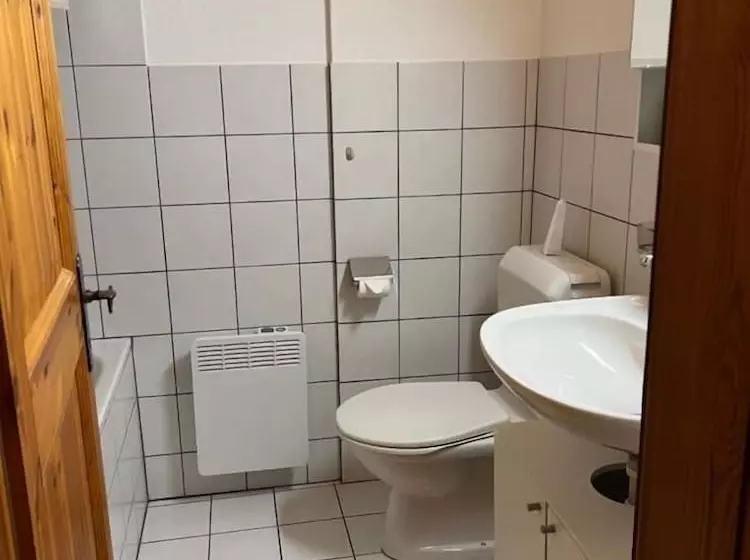 ホテル Gasthaus Alpina Salouf